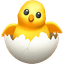 Bird icon